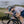 Van Rysel RCR Road Cycling Gloves