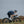 Shimano Dura Ace Di2 12V, RCR-F2 Pro Black road bike