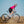 Women's endurance road cycling shorts, EDR  - Black