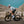 Van Rysel Adult RCR Road Cycling Shoes